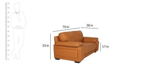 Max 2 Seater Sofa in Tan Colour - Image 2